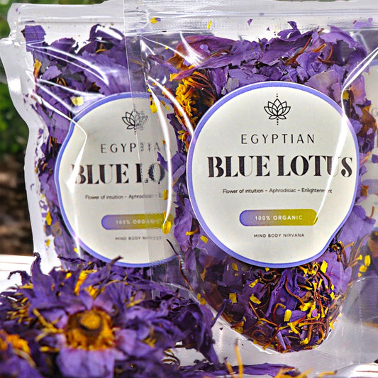 Egyptian Blue Lotus