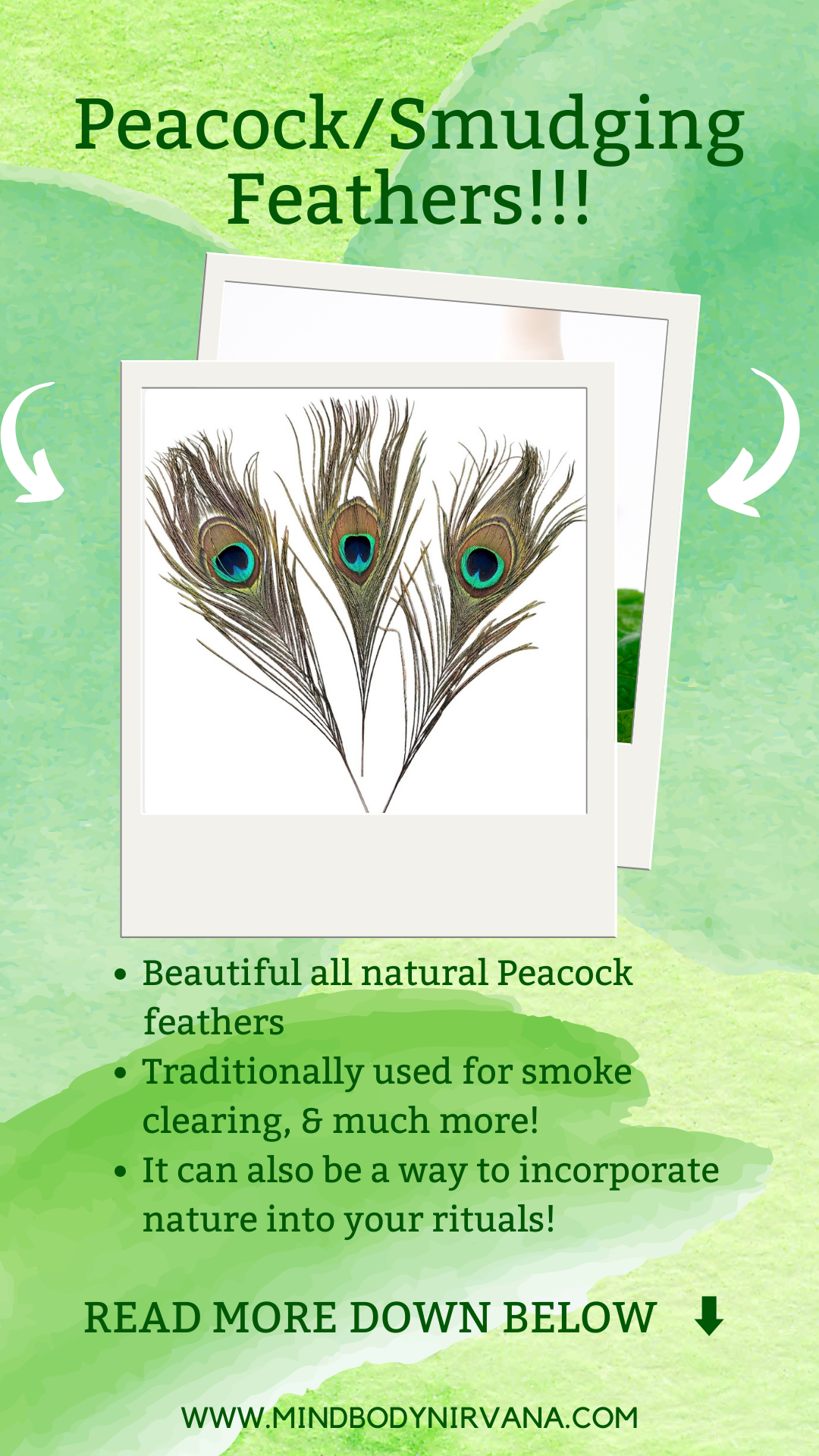 Peacock Feather - Smoke Cleansing Feather - Energy Clearing Feather - size 9-12"-Ritual Feather